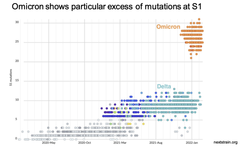 omicron-mutations